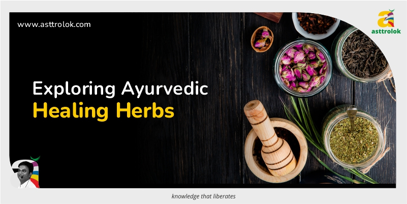 Healing Herbs: Exploring Ayurvedic Remedies